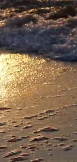 Golden beach waves at sunset reflecting shimmering light.