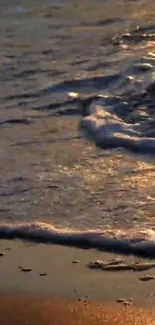 Golden sunset beach waves gently hitting the sandy shore.