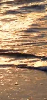 Golden sunset casts a shimmering glow on gentle beach waves.