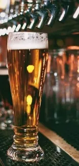 Golden beer glass at a bar with taps in the background.