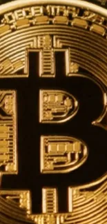 Gold Bitcoin symbol on a detailed coin background.