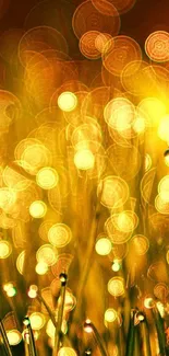 Golden bokeh lights creating a magical, blurry effect for a stunning mobile wallpaper.