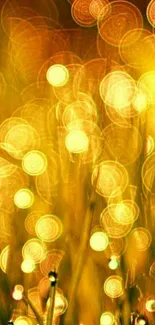 Golden bokeh light wallpaper with abstract glow.