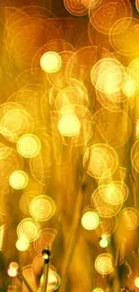 Golden bokeh lights creating an abstract, warm glow on a mobile wallpaper.