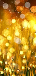 Golden bokeh wallpaper with vibrant lights.