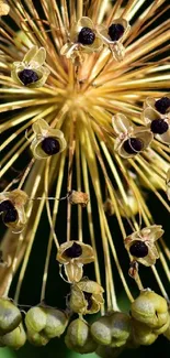 Mobile wallpaper with golden botanical burst and intricate seed pods.