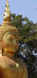 Golden Buddha statue against green trees and clear sky.