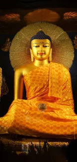 Golden Buddha statue with shimmering halo in peaceful meditation pose.