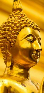 Golden Buddha statue wallpaper for mobile phone.