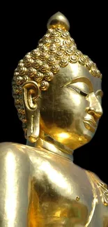 Golden Buddha statue with serene expression on black background.