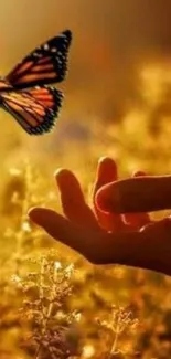 A hand reaching towards a butterfly in a golden light.