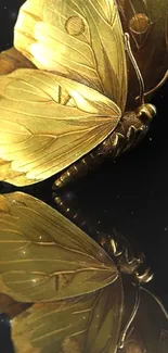 Golden butterfly on black background, elegant mobile wallpaper.