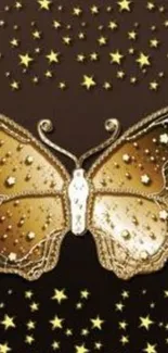 Golden butterfly with starry background wallpaper.