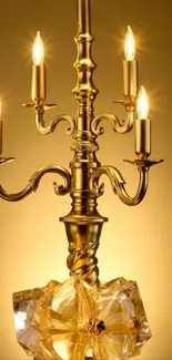 Elegant golden chandelier casting a warm, inviting glow.