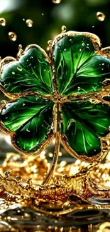 Gold-trimmed green clover with splash effect.