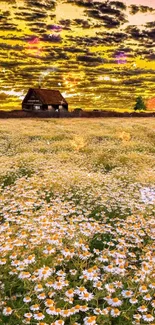 Golden sky with a cottage and field of wildflowers at sunset.