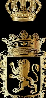 Golden crest and crown on black wallpaper.