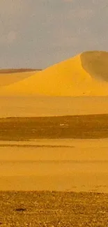 Golden sand dunes under a bright sky with a tranquil feel.