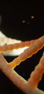 Close-up of a golden DNA spiral set against a dark background.