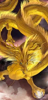 Illustrated golden dragon in clouds mobile wallpaper.