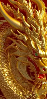 Intricate golden dragon on red background wallpaper.