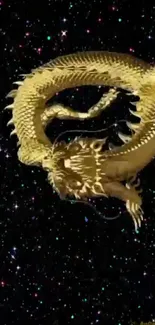 Golden dragon against a starry sky background.