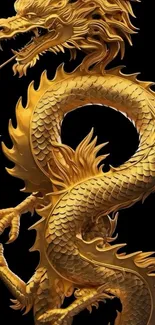 Intricate golden dragon design on a black background for mobile wallpaper.