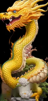 Vibrant golden dragon on dark background mobile wallpaper.