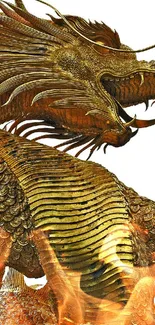 Golden dragon with intricate details on a white background wallpaper.