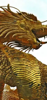 Majestic golden dragon with intricate details set against a blue sky background.