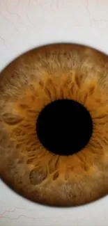 Close-up macro image of a golden brown eye displaying intricate iris patterns.