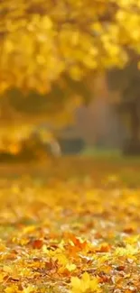 Golden autumn leaves covering the ground on a sunny day.