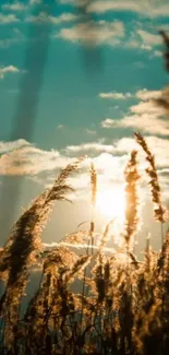 Golden sunset over a tranquil field with a radiant sky.