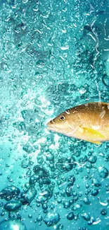 Golden fish swimming through aqua bubbles with dynamic water effect.