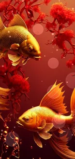 Two golden fish on a red background wallpaper.