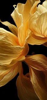 Golden flowers with delicate petals on a black background, perfect for mobile wallpaper.