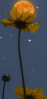 Golden flower silhouetted by a luminous moon in a navy blue sky.