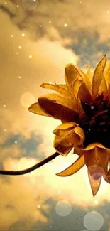 Golden flower with dramatic sky background on mobile wallpaper.