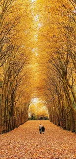 Golden forest pathway with autumn leaves.