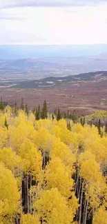 Yellow forest trees with mountain view in autumn landscape.