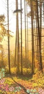 Golden sunlight filtering through a tranquil forest with tall trees and foliage.