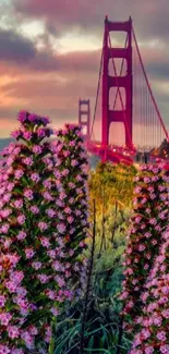 Golden Gate Bridge at sunset with wildflowers in foreground.