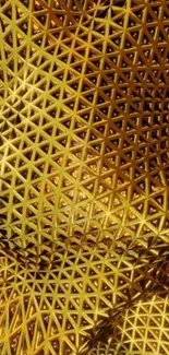 Golden geometric mesh pattern wallpaper for mobile.