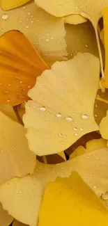 Golden Ginkgo leaves with dewdrops on a mobile wallpaper pattern.