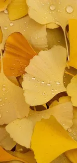 Golden ginkgo leaves with dewdrops on mobile wallpaper.