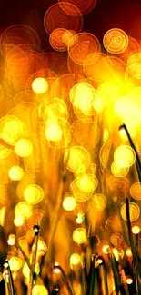 Golden bokeh effect, vibrant light wallpaper.