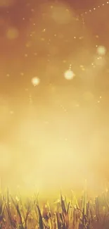 Golden grass with bokeh lights mobile wallpaper