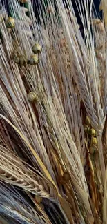 Golden wheat field close-up mobile wallpaper.