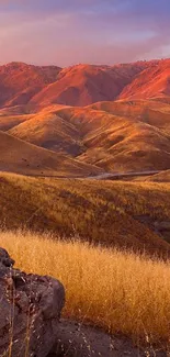 Golden hills under a sunset sky, perfect for nature wallpaper.