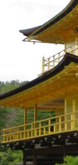 Golden Japanese temple amidst green background on mobile wallpaper.